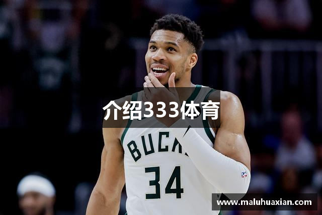 介绍333体育